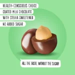 شکلات شیری با بادام‌زمینی بدون شکر افزوده 40 گرم - تصویر 8